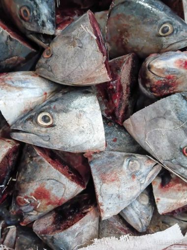 Frozen fish by-products